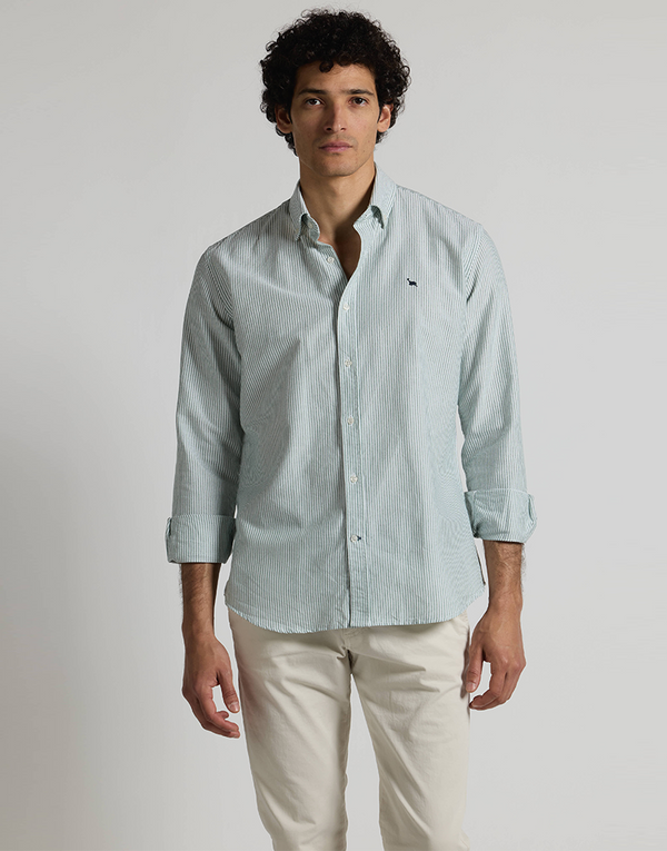 Camisa oxford rayas verde button down