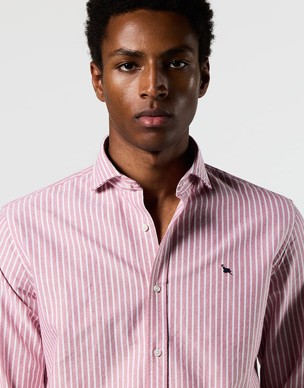 Camisa Italia oxford burdeos raya blanca