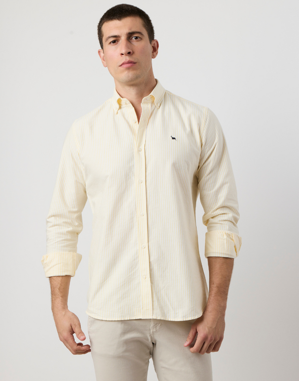 Camisa oxford rayas anchas amarillas