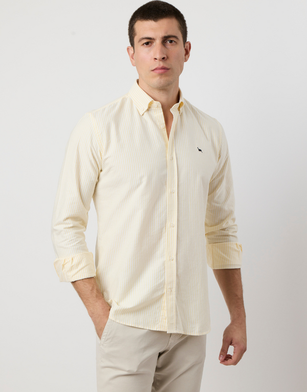 Camisa oxford rayas anchas amarillas