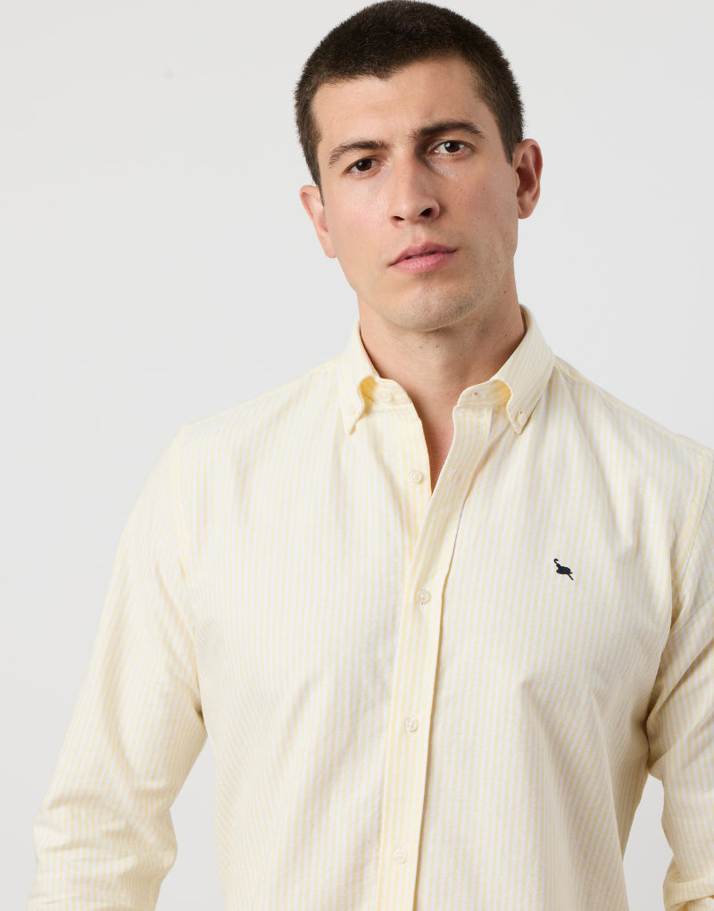 Camisa oxford rayas anchas amarillas