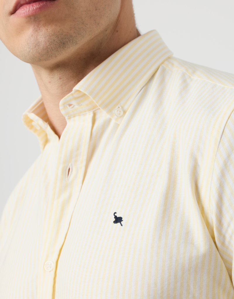 Camisa oxford rayas anchas amarillas