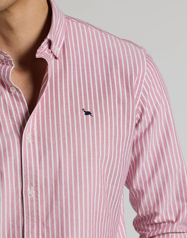 Camisa oxford burdeos raya blanca