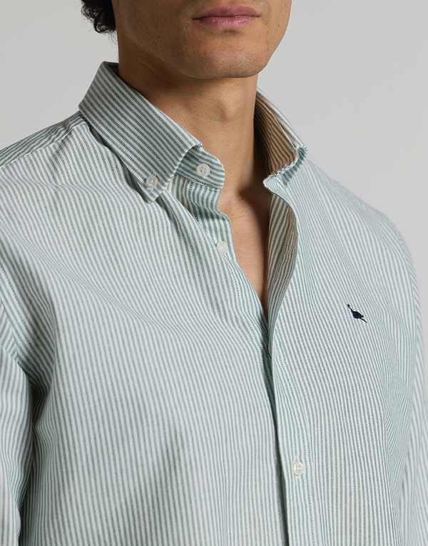 Camisa oxford rayas verde button down