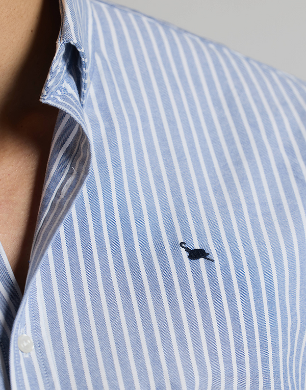 Camisa oxford azul marino raya blanca