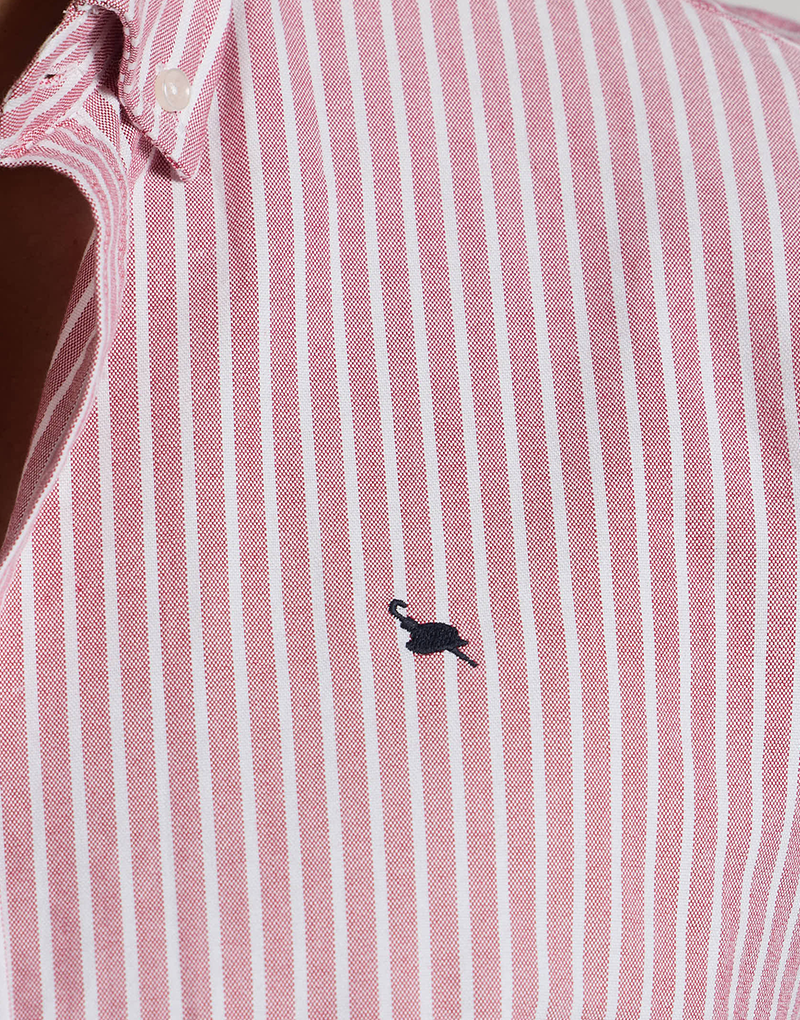 Camisa oxford burdeos raya blanca