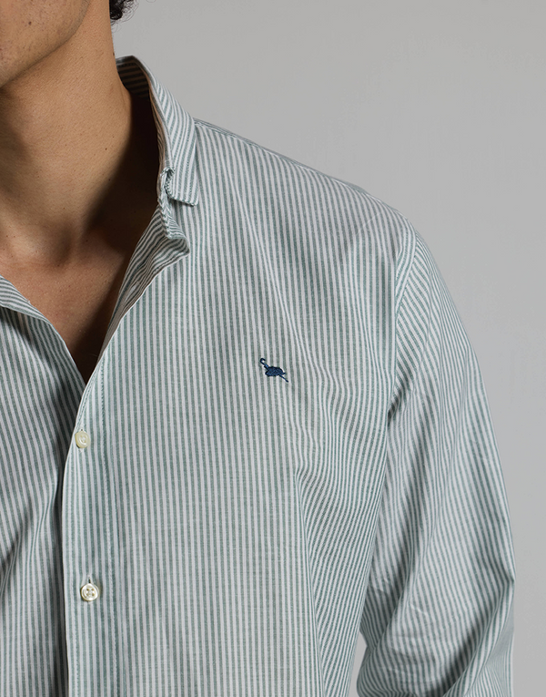Camisa oxford casual rayas verde