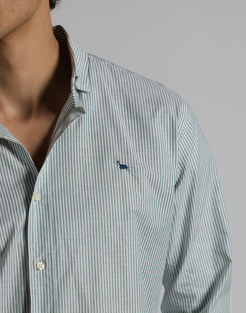 Camisa oxford casual rayas verde